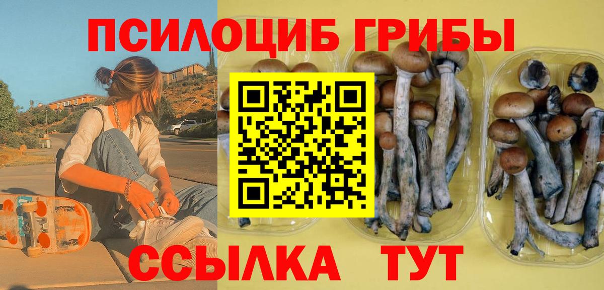 Галлюциногенные грибы Cubensis  Вход с VPN  Дмитров  Галлюциногенные грибы Cubensis 
